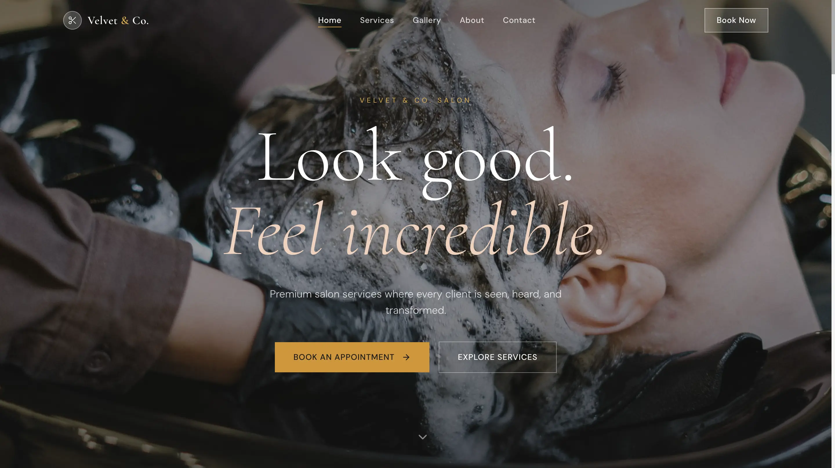Velvet & Co. Salon website concept